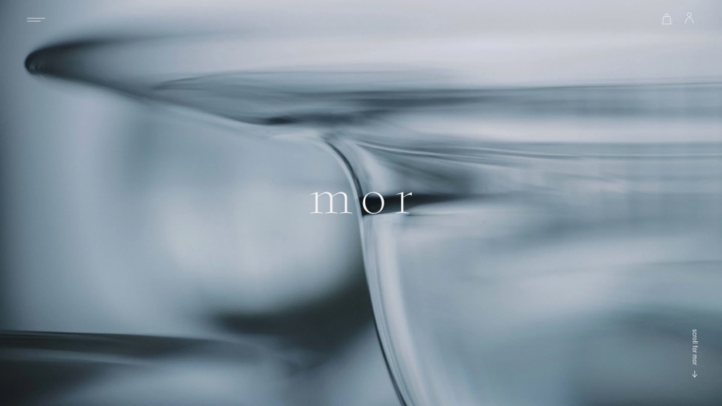 WEB DESIGN FOR MOR Other Image
