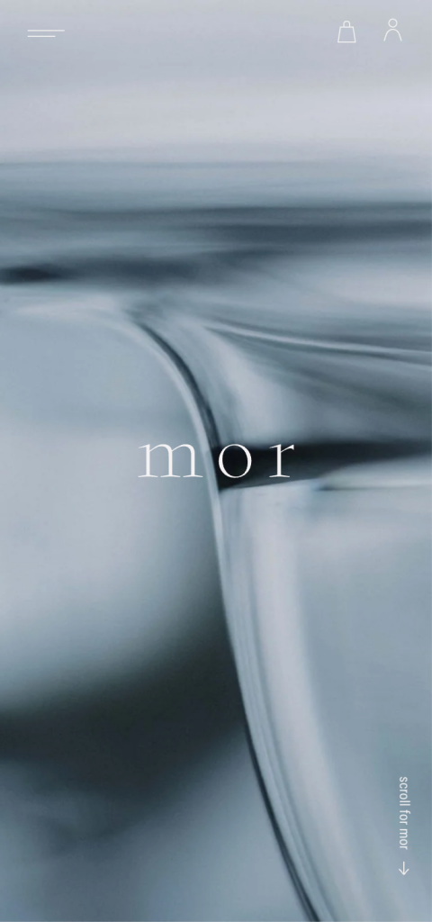 WEB DESIGN FOR MOR Other Image