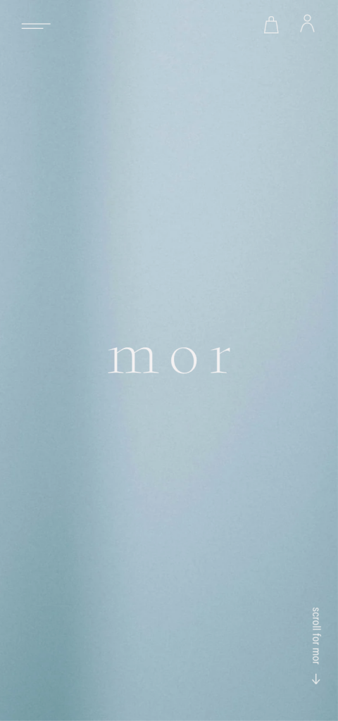 WEB DESIGN FOR MOR Other Image