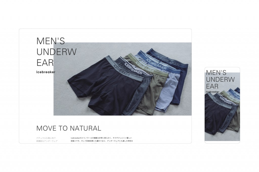 MEN’S UNDERWEAR for ICEBREAKER