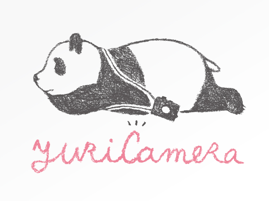 Logo, Web, Card, Envelope design for yuriCamera